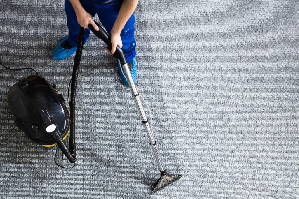 carpet cleaning business leicester